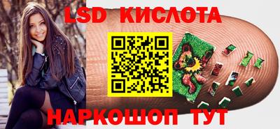 прущие грибы Новодвинск