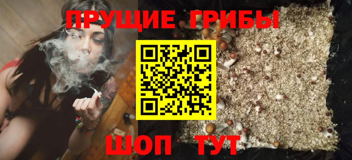 Галлюциногенные грибы GOLDEN TEACHER Соликамск